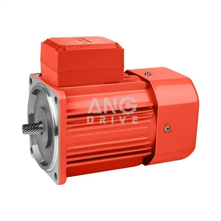 micro induction motor